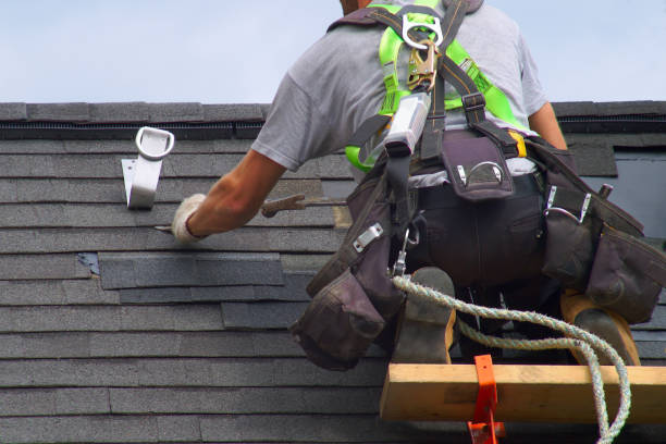 Roof Gutter Cleaning in Salamanca, NY
