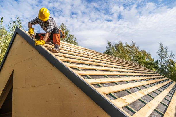 Best Roof Gutter Cleaning  in Salamanca, NY