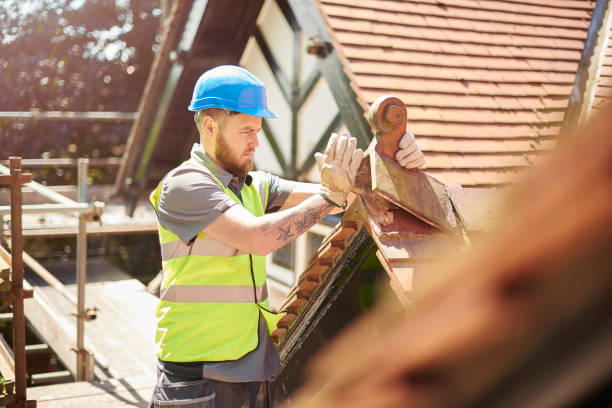 Best Roof Leak Repair  in Salamanca, NY